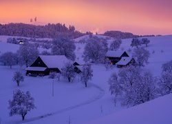 Zima, Góry, Domy, Drzewa, Szwajcaria