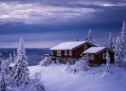 Zasypane śniegiem domy i drzewa na wzgórzu