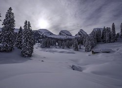 Zasypane śniegiem domy i drzewa w górach