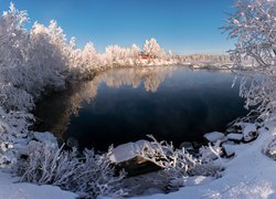 Zasypane śniegiem drzewa i czerwony dom nad jeziorem