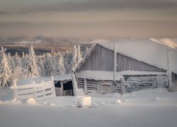 Zasypane śniegiem drzewa i drewniana szopa