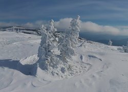 Zima, Drzewa, Śnieg, Wzgórze, Chmury