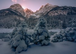 Zasypane śniegiem drzewa nad górską rzeką