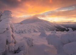 Zima, Góry, Karkonosze, Las, Ośnieżone, Drzewa, Zachód słońca, Chmury, Polska