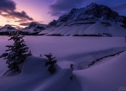 Zima, Góry, Góra Crowfoot Mountain, Zaśnieżone, Jezioro, Bow Lake, Drzewa, Park Narodowy Banff, Alberta, Kanada