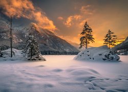 Zima, śnieg, Drzewa, Zachód słońca, Góry Alpy, Jezioro Hintersee, Bawaria, Niemcy