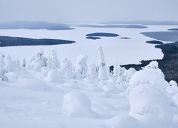 Zasypane śniegiem jezioro i drzewa