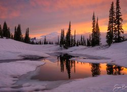 Zima, Góry, Jezioro, Tipsoo Lake, Drzewa, Odbicie, Park Narodowy Mount Rainier, Stan Waszyngton, Stany Zjednoczone