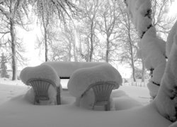 Zima, Śnieg, Drzewa, Zaśnieżone, Krzesła