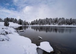 Zasypane śniegiem krzewy i ośnieżone drzewa nad jeziorem