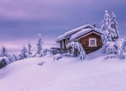Zasypany śniegiem dom i drzewa na wzgórzu