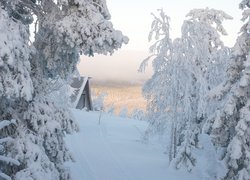 Zasypany śniegiem dom i drzewa