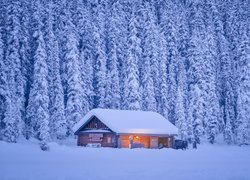 Zasypany śniegiem dom pod ośnieżonymi świerkami