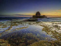 Australia, Sorrento, Park Narodowy Mornington Peninsula, Zatoka Bay of Islands, Morze, Wodorosty, Skały