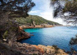 Morze, Skały, Drzewa, Zatoka, Sleepy Bay, Wybrzeże, Park Narodowy Freycineta, Tasmania, Australia