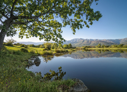 Hiszpania, Jezioro, Zbiornik Embalse de Rosarito, Drzewa, Góry