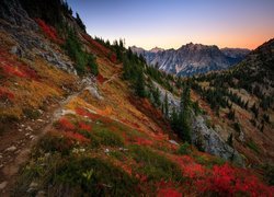 Góry, Jesień, Kolorowa, Roślinność, Ścieżka
