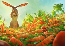 Zdziwiony królik na polu marchewkowym