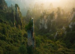 Las, Skały, Zhangjiajie National Forest Park, Hunan, Chiny