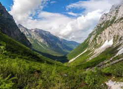 Góry, Dolina, Rośliny, Drzewa, Kamienie, Chmury, Niebo