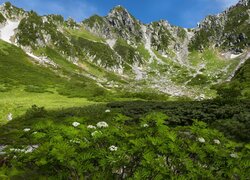 Zielona górska dolina