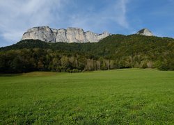 Zielona łąka i las na tle skalnego masywu