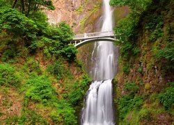 Wodospad, Multnomah Falls, Most, Skały, Drzewa, Roślinność, Hrabstwo Multnomah, Oregon, Stany Zjednoczone