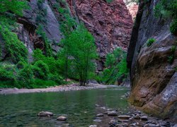 Stany Zjednoczone, Stan Utah, Park Narodowy Zion, Kanion Zion Narrows, Skały, Kamienie, Rzeka, Virgin River