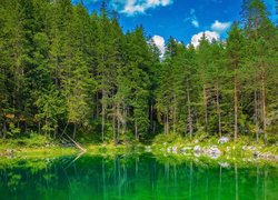 Zielone drzewa na brzegach jeziora Eibsee
