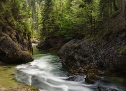 Las, Rzeka, Skały, Zielone, Drzewa