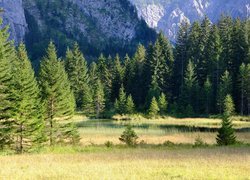 Zielone drzewa na tle góry nad rzeką