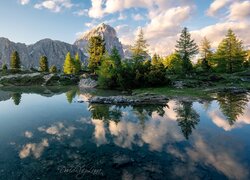 Góry, Dolomity, Jezioro, Lago Limides, Drzewa, Odbicie, Prowincja Belluno, Włochy