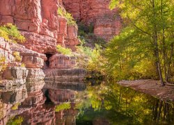 Góry, Skały, Drzewa, Rzeka, Kanion Sycamore, Arizona, Stany Zjednoczone