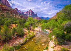 Stany Zjednoczone, Stan Utah, Park Narodowy Zion, Góry Watchman, Rzeka Virgin River, Kamienie, Drzewa, Chmury