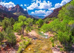 Park Narodowy Zion, Góry Watchman, Drzewa, Chmury, Rzeka Virgin River, Stan Utah, Stany Zjednoczone