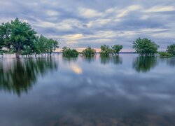 Stany Zjednoczone, Kolorado, Park stanowy, Chatfield State Park, Jezioro, Chatfield Lake, Drzewa