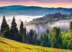 Zielone górskie lasy we mgle