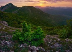 Góry, Skały, Krzewy, Roślinność, Zachód słońca