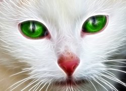 Zielone oczy białego kota