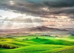 Zielone pola w Toskanii
