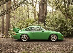 Zielone, Porsche 911 Carrera, Droga, Las