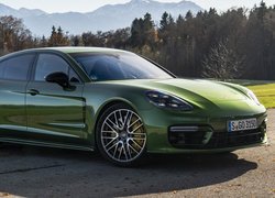 Zielone, Porsche Panamera S, Bok