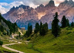 Zielone wzgórza na tle Dolomitów