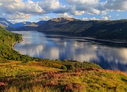Szkocja, Jezioro, Loch Duich, Wzgórza, Góry Kintail