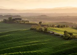 Zielone wzgórza Toskanii o poranku