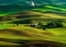 Wzgórza, Drzewa, Łąki, Pola, Steptoe Butte State Park, Region Palouse, Stan Waszyngton, Stany Zjednoczone