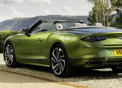 Zielony, Bentley Continental, GT, Kabriolet, Tył