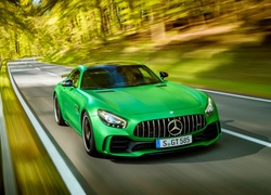 Zielony, Mercedes AMG GT R, 2016, Las, Droga