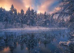 Zima nad jeziorem w norweskiej gminie Ringerike