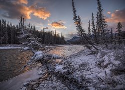 Kanada, Park Narodowy Banff, Rzeka Bow River, Las, Góry, Rośliny, Zima